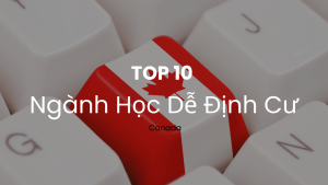 Top 10 ngành học dễ định cư tại Canada năm 2026, bao gồm các ngành Kỹ thuật, Y tế và Công nghệ thông tin